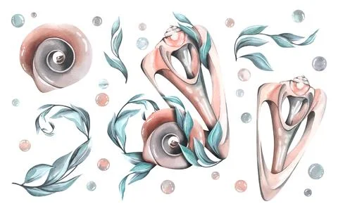 Seashells with a cut, with holes in the curls of algae. Watercolor illustration Stock Illustration