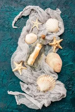 Seashells on dark turquoise background Stock-Fotos