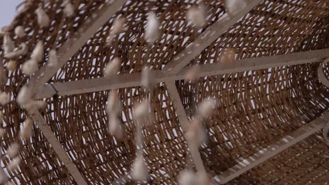 Seashells decoration hanging on a beach umbrella in marsa alam, egypt Stock Footage 335998770