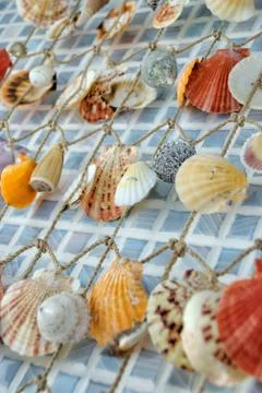 Seashells decoration Stock Photos
