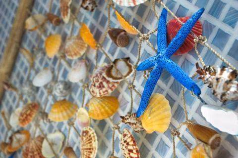 Seashells decoration Stock Photos