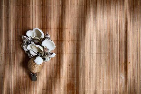 Seashells detail on a cane background Stock Photos
