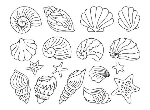 Seashells doodle hand drawn set ocean marine starfish molluskconch sink under Stock Illustration