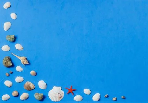 Seashells Flat Lay Pattern on Blue Background, Sea Vacation Background with Copy Stock Photos