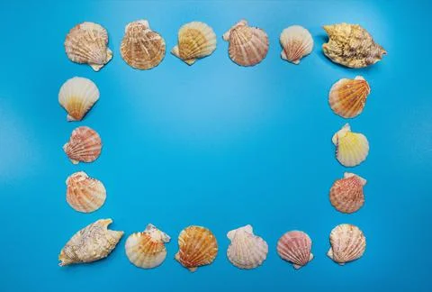 Seashells frame border on a blue background Stock-Fotos