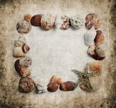 Seashells frame 스톡 사진