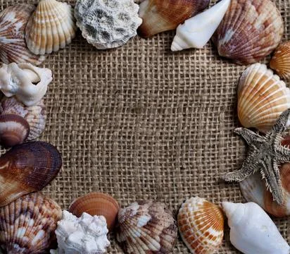 Seashells frame Stock-Fotos