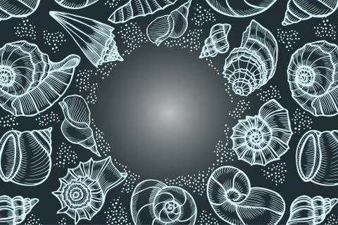 Seashells hand drawn vector Illustrazione stock