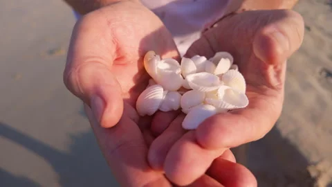 Seashells in Hands with Sand Background Close Shot 스톡 동영상 332210192