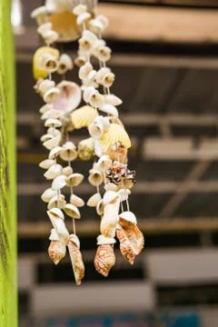Seashells hanging decoration Foto stock