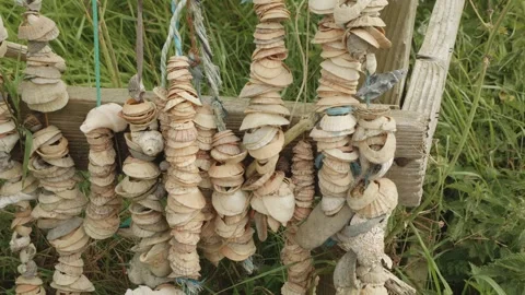 Seashells hanging on string that tourists have left on vacation stock footage Vídeo Stock 311375516