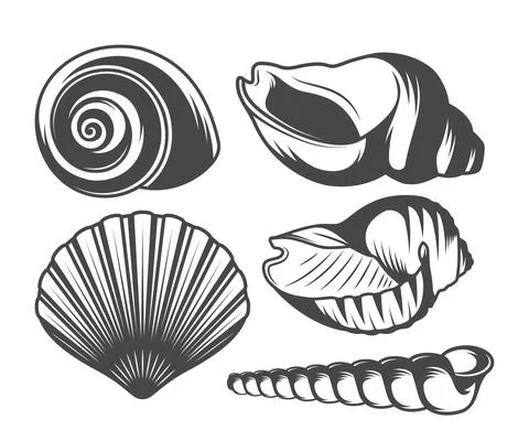 Seashells Icons Set Stock Illustration