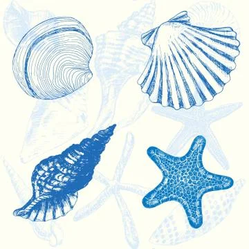 Seashells Stock Illustration
