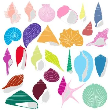 Seashells Illustrazione stock