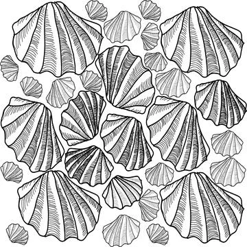 SEASHELLS illustration Stock Illustration