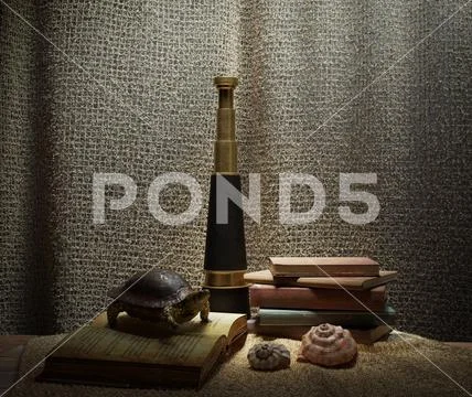 Seashell's in interior scene with turtle, books and telescope concept photo Stock Photos