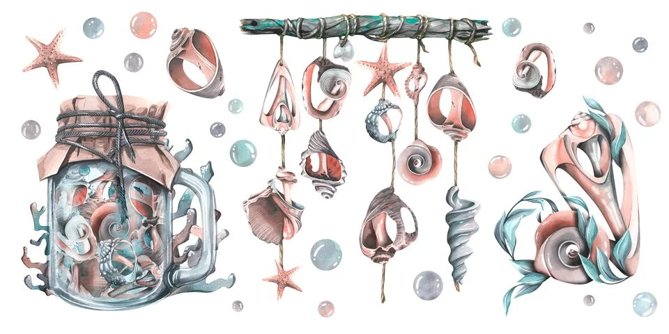 Seashells in a jar, on strings and with algae. Watercolor illustration hand Illustrazione stock