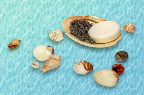 Seashells with lavender and soap Stock Photos