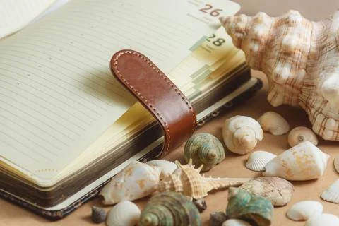 Seashells on light background with notebook. travel concept Stock Photos