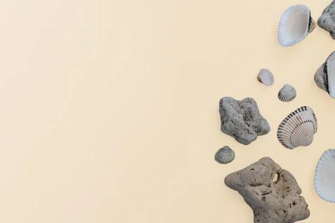 Seashells on a light background, there is a place for text, there is a way Stock Photos