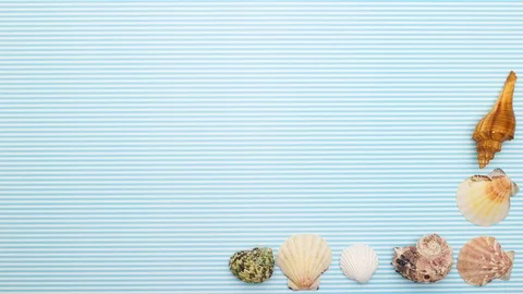 Seashells make frame on blue background - Stop motion Stock Footage 128596030