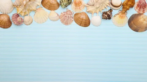 Seashells moving on top of blue background - Stop motion Stock Footage 128596321