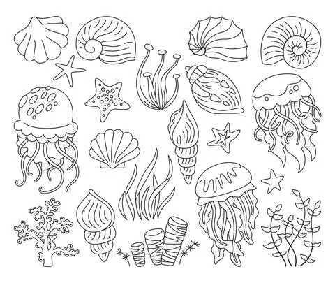 Seashells outline doodle set ocean marine starfish mollusk seaweed conch 스톡 일러스트