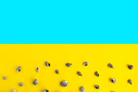 Seashells pattern on bright yellow background, summer vacation concept, banne Stock Photos