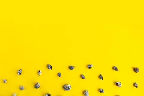 Seashells pattern on bright yellow background, summer vacation concept, banne Stock Photos