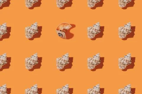 Seashells pattern on a orange background. Stock Photos