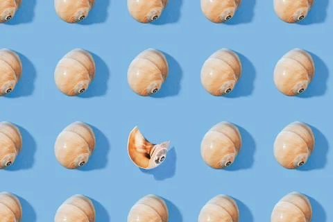 Seashells pattern on a orange background. Stock Photos