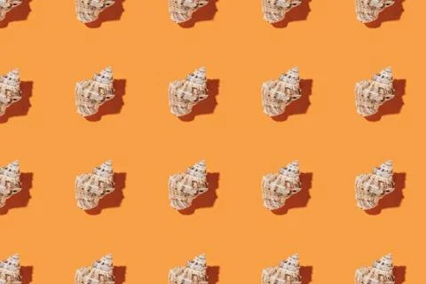 Seashells pattern on a orange background. Stock Photos