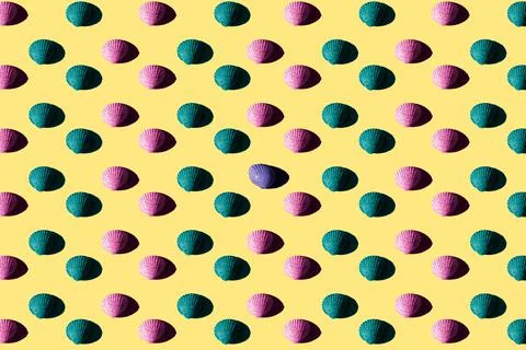 Seashells pattern on a yellow background. Summer vacation concept. Sea shells Stock Photos