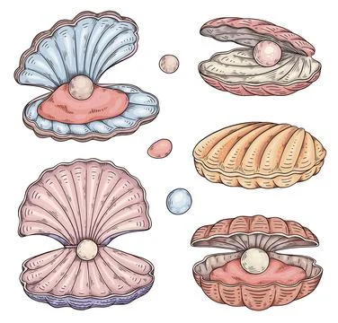 Seashells with pearl inside, hand drawn sketch vector illustration isolated. 스톡 일러스트