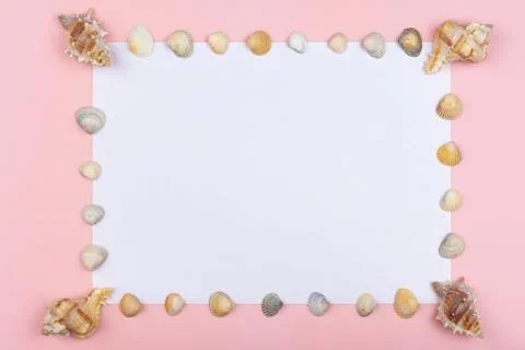 Seashells on the perimeter press a white sheet Stock Photos
