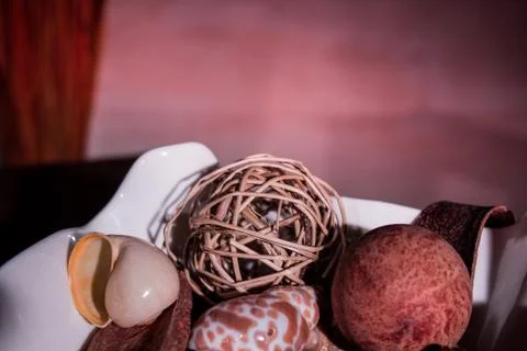 Seashells Stock Photos