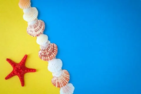 Seashells Stock Photos