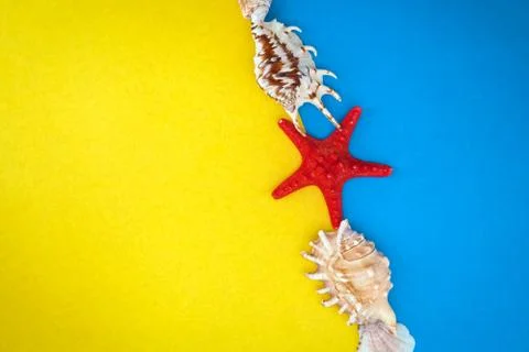 Seashells Stock Photos