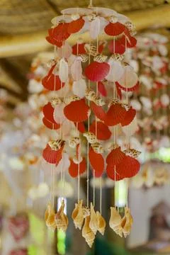 Seashells. Stock Photos