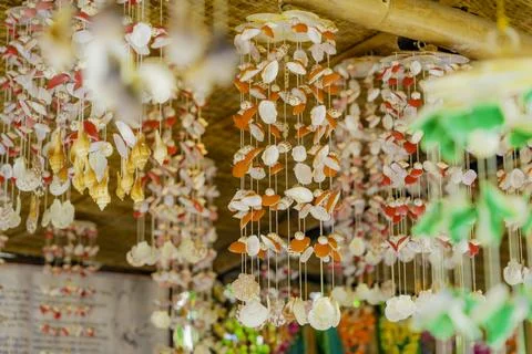 Seashells. Stock Photos