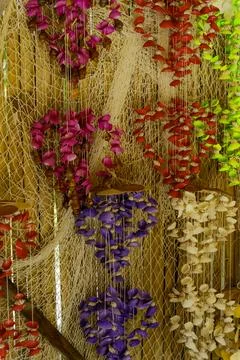 Seashells. Stockfoto's