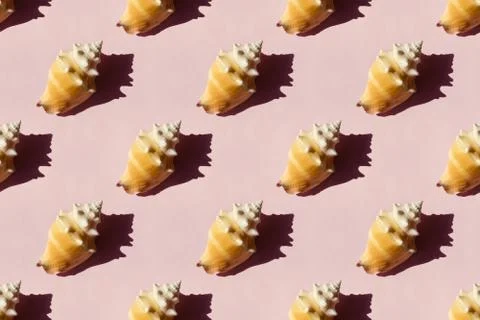 Seashells on pink background, seamless pattern Foto stock