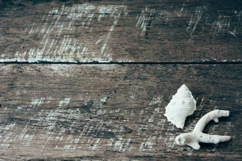 Seashells on the rustic wooden background. Summer wallpaper. Stock Photos