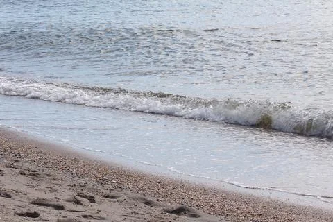 Seashells, sand on the beach, barnacles on the sea, surf Stock Photos