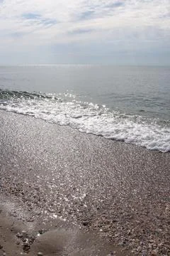 Seashells, sand on the beach, barnacles on the sea, surf Stock Photos