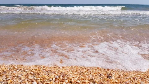 Seashells on sand beach with sea waves, close up Video stock 91933747