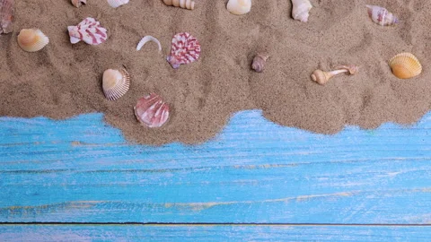 Seashells on the sand on a blue background Stock Footage 196010081