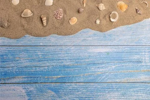 Seashells on the sand on a blue background Фото