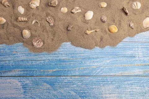 Seashells on the sand on a blue background Stockfoto's