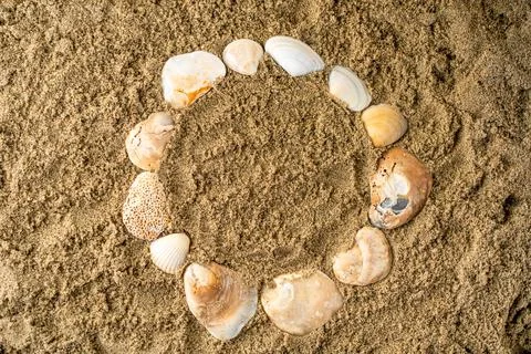 Seashells on sand, flat view, space for text, vacation concept Stock Photos
